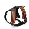 Truelove Forest suņu siksna - TLH5551