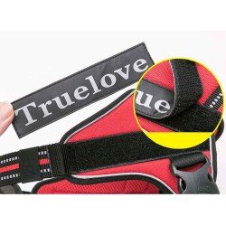 Truelove City + suņu siksnas - TLH5753