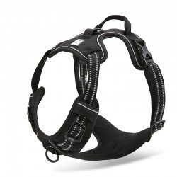 Truelove Country suņu apmācības siksna - TLH5651