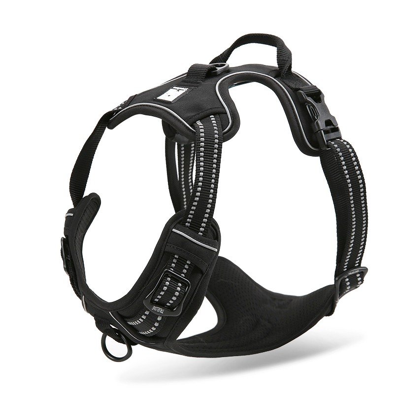 Truelove Country suņu apmācības siksna - TLH5651