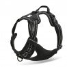 Truelove Country suņu apmācības siksna - TLH5651