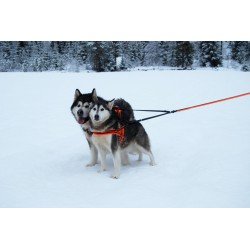 Truelove Share + 3 punktu suņu pavada - TLL2371