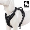 Truelove Country suņu apmācības siksna - TLH5651